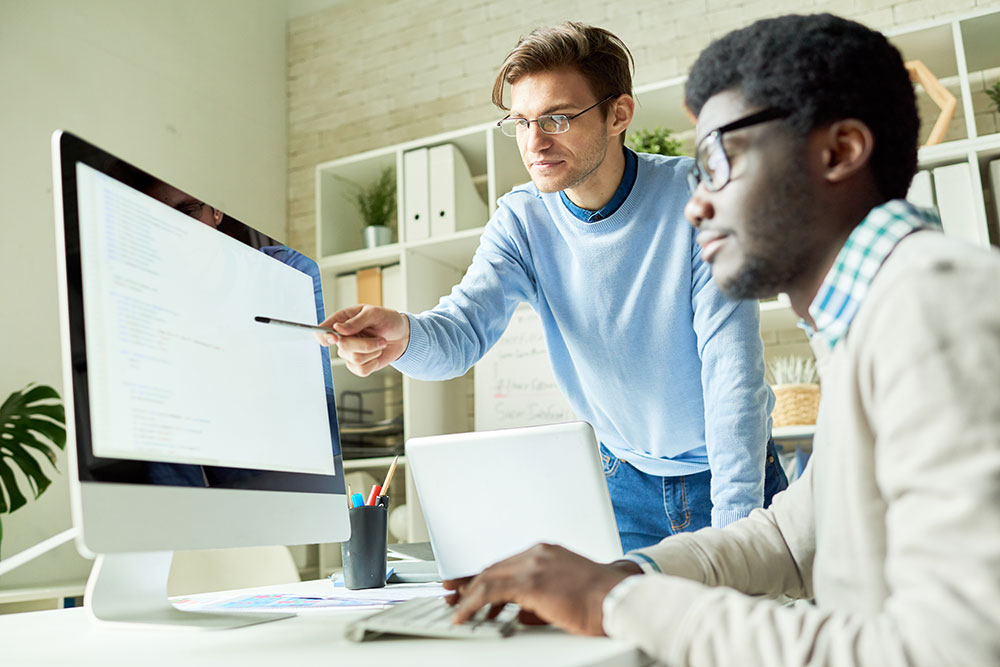 What does a Web Development Company do